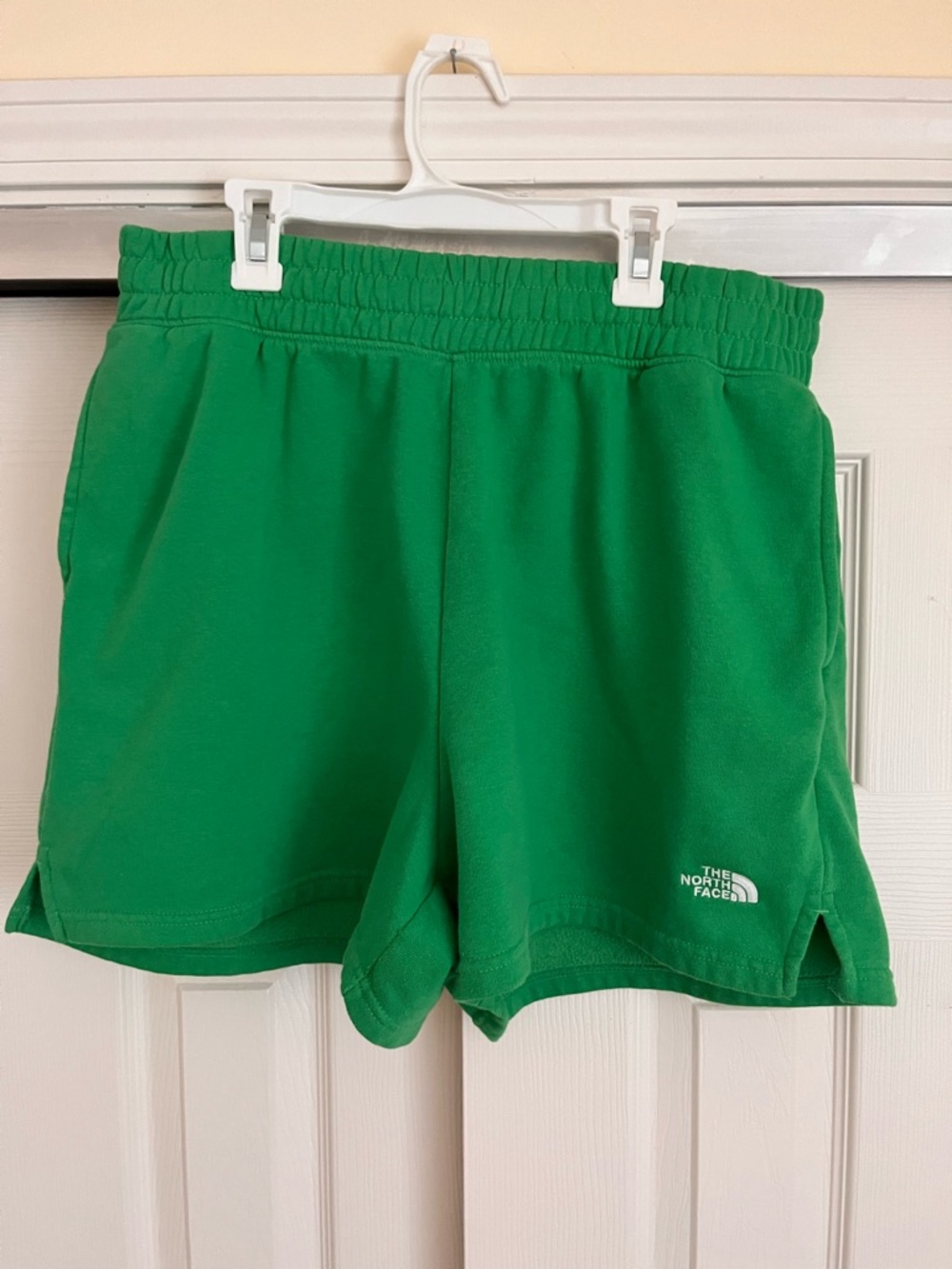 The North Face Kelly Green Performance Shorts